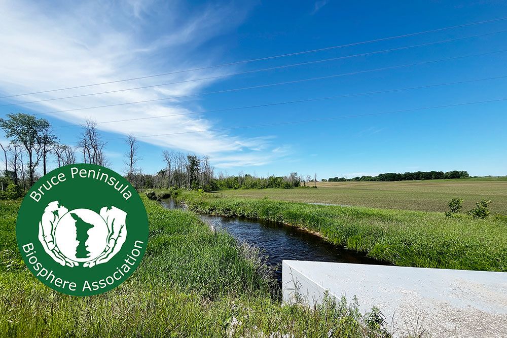A project photo.