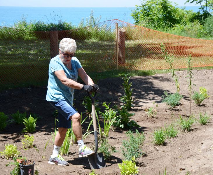 Rain Garden Planting